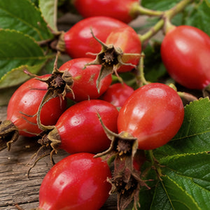 Wild Rose Berries