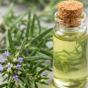 Rosemary Extract